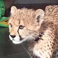 Profile Image for Alisha.